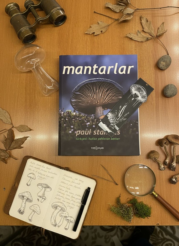 Fantastik Mantar Ayracı | BookyFancy