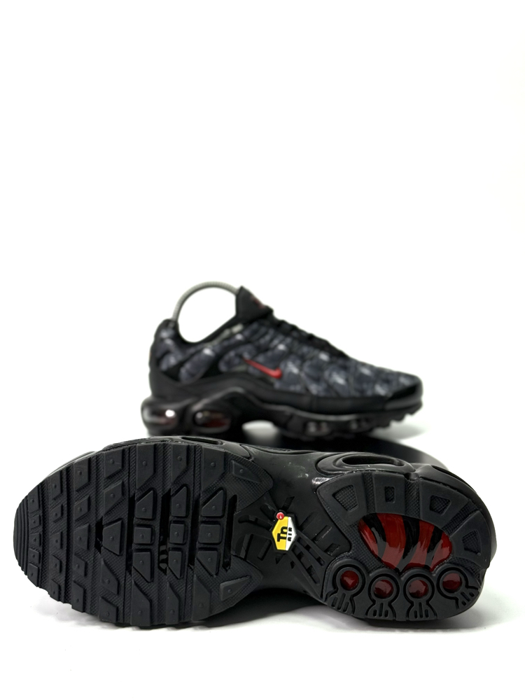 NİKE AİR MAX TN PLUS TUNED AİR