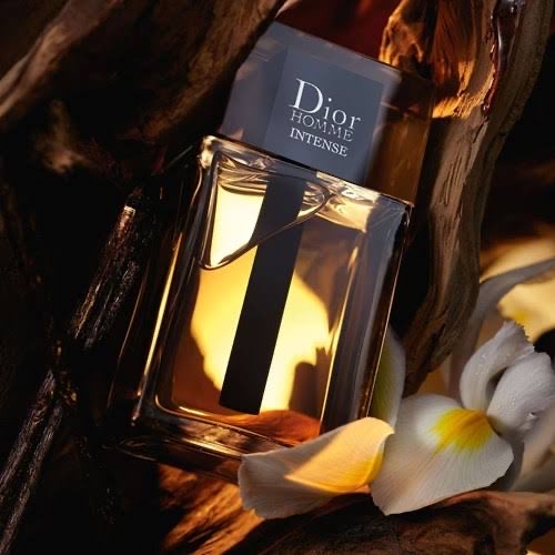 Dior Homme İntense 100mL Parfüm