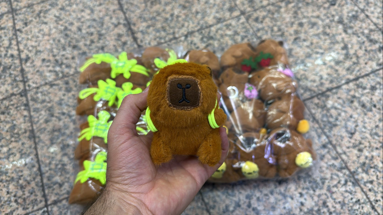 CapyBara Peluş Anahtarlık