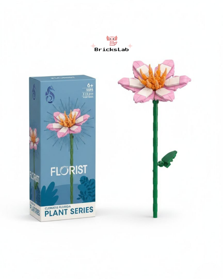 Brick Çiçek Clematis – Pastel Zarafet Seti