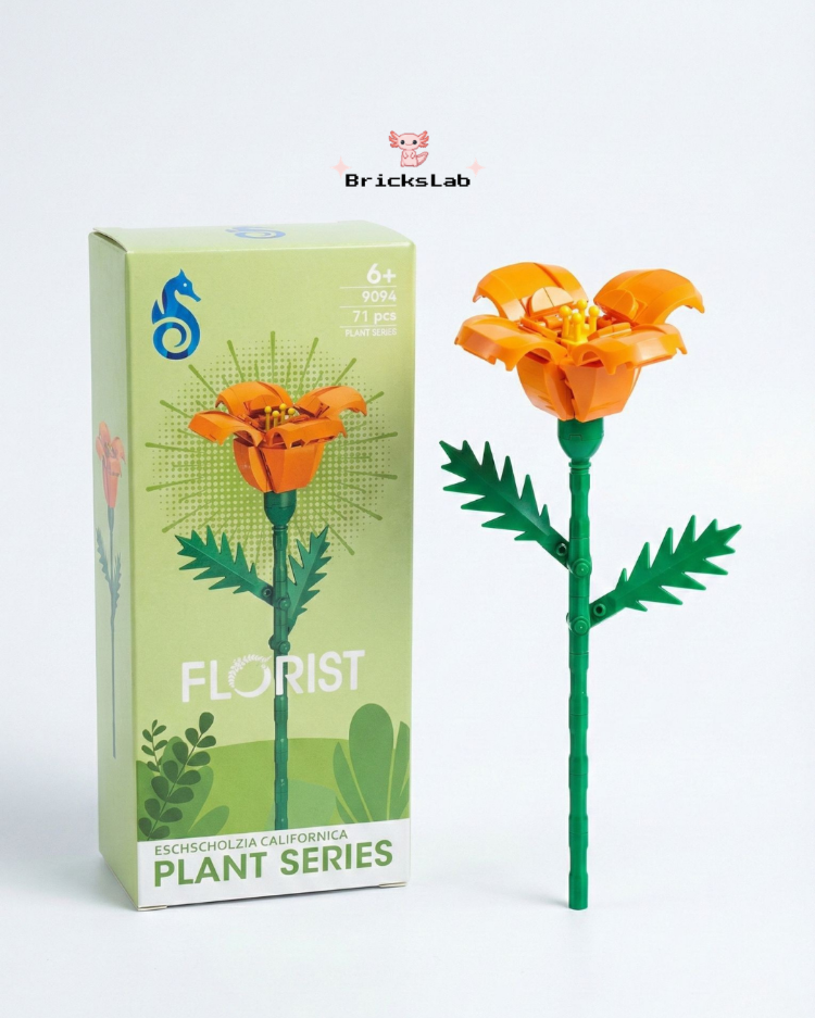 Brick Çiçek Eschscholzia – Canlı Turuncu Set