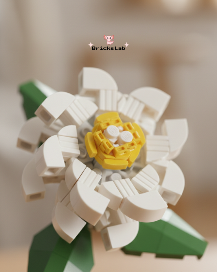Brick Çiçek Camellia – Zamansız Aşk Çiçeği