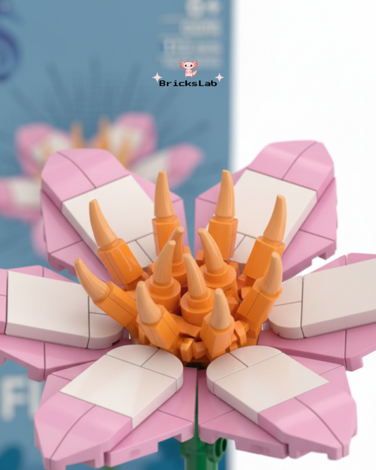 Brick Çiçek Clematis – Pastel Zarafet Seti
