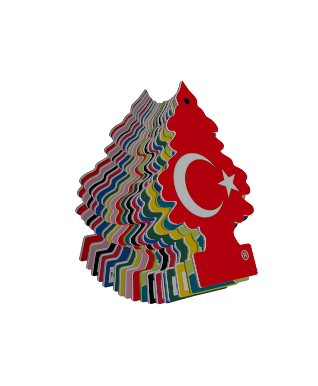 Sallanan Koku Modu (Toyhang)