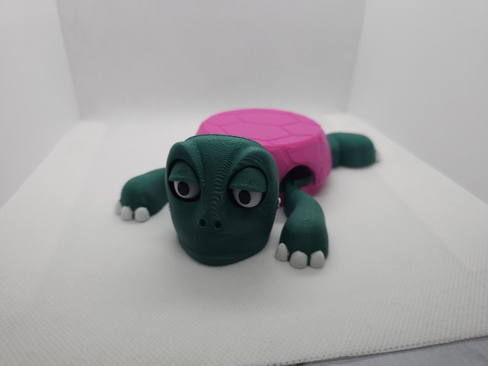 Şaşkın Kaplumbağa Bardak Altlığı 3D Baskı Dekoratif & Eğlenceli Tasarım