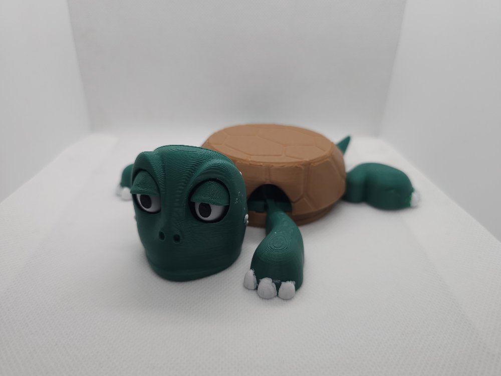 Şaşkın Kaplumbağa Bardak Altlığı 3D Baskı Dekoratif & Eğlenceli Tasarım