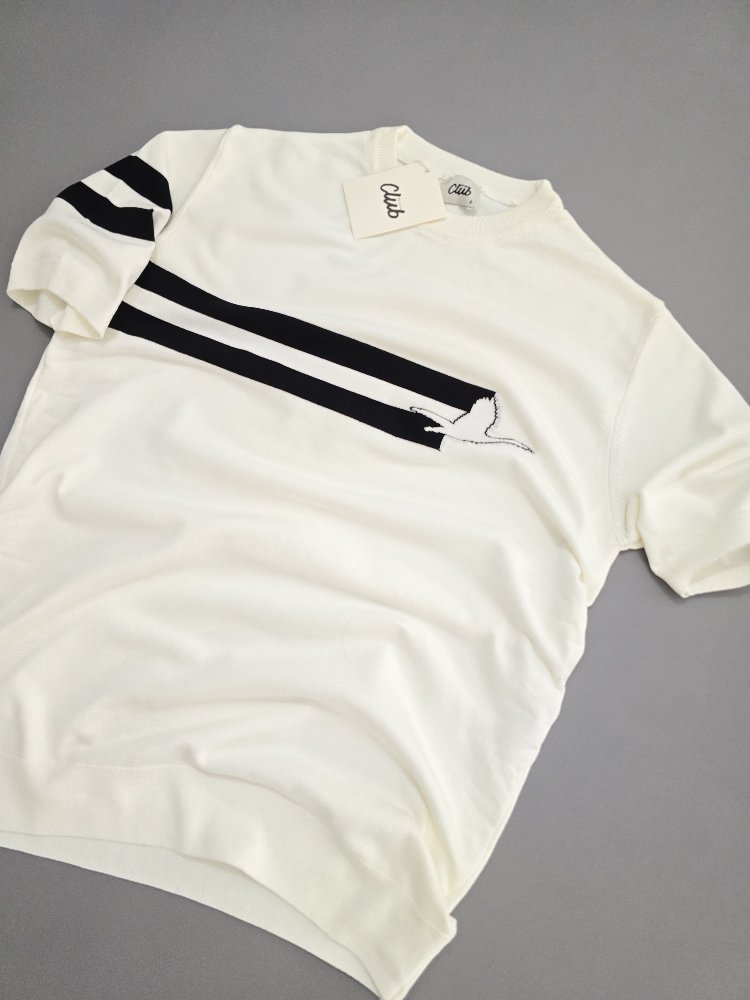 Erkek Normal Fit Triko Tshirt Beyaz 