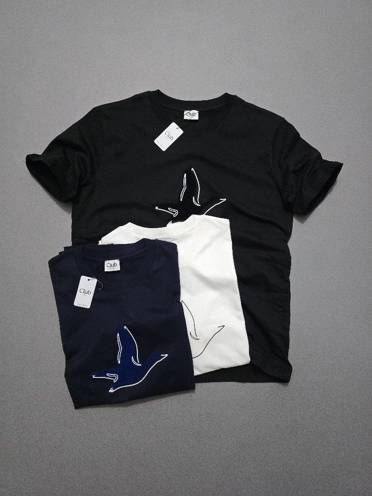 Erkek Normal Fit Tshirt Siyah