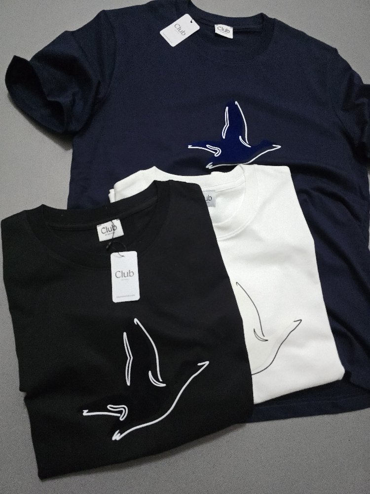 Erkek Normal Fit Tshirt Siyah