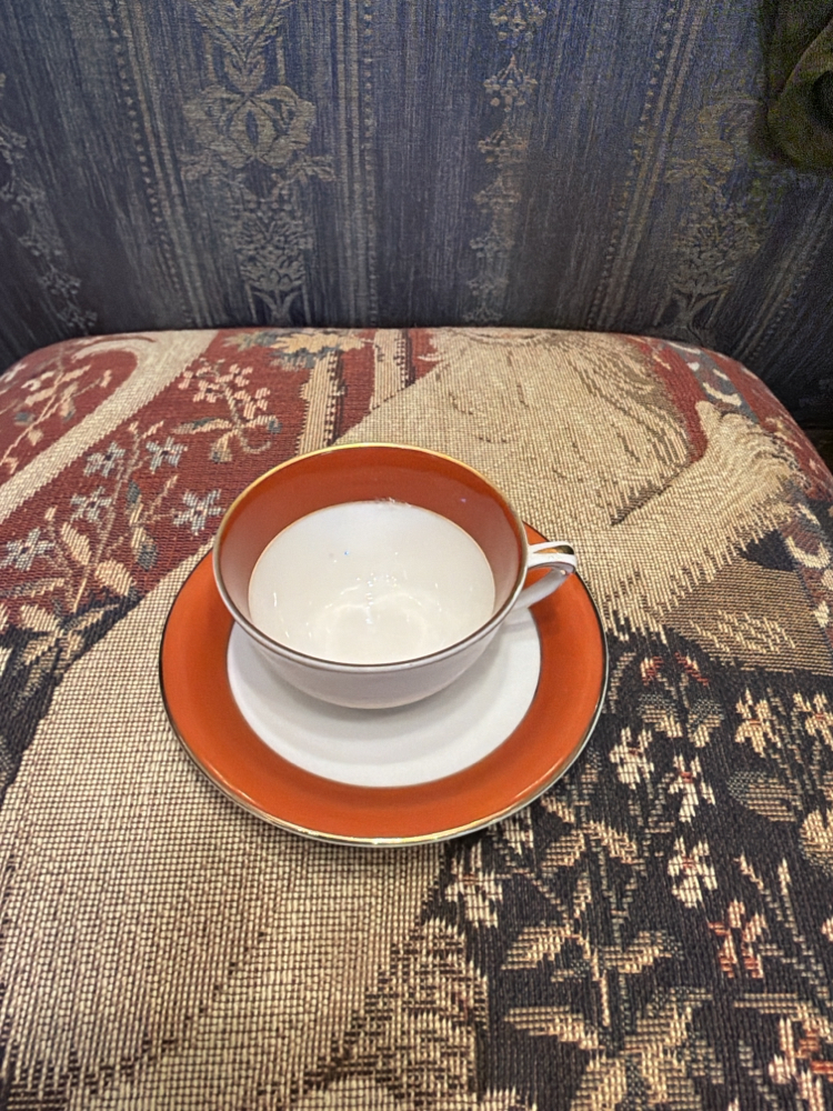 Limoges fincan