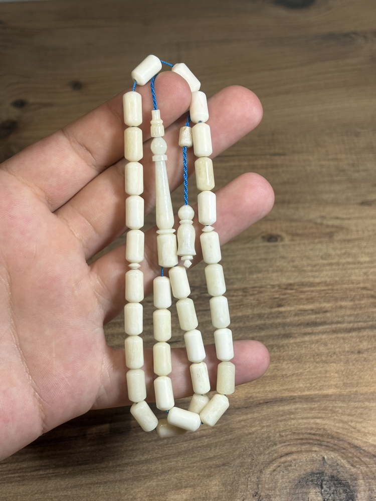 NATÜREL DEVE KEMİĞİ 