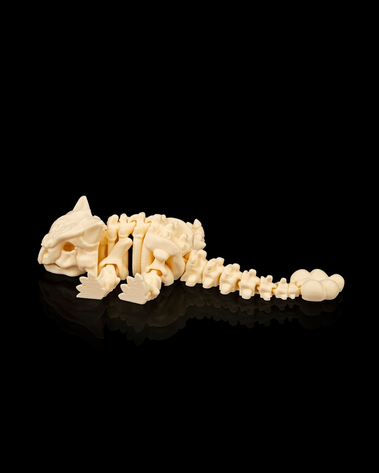 Ankylosaurus İskeleti