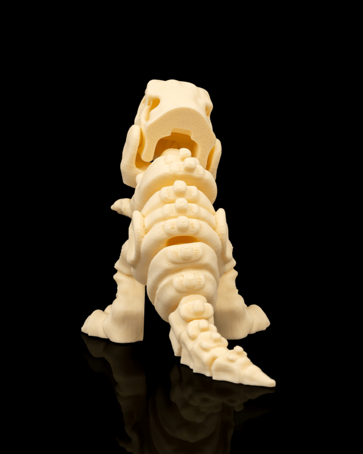 T-Rex İskeleti