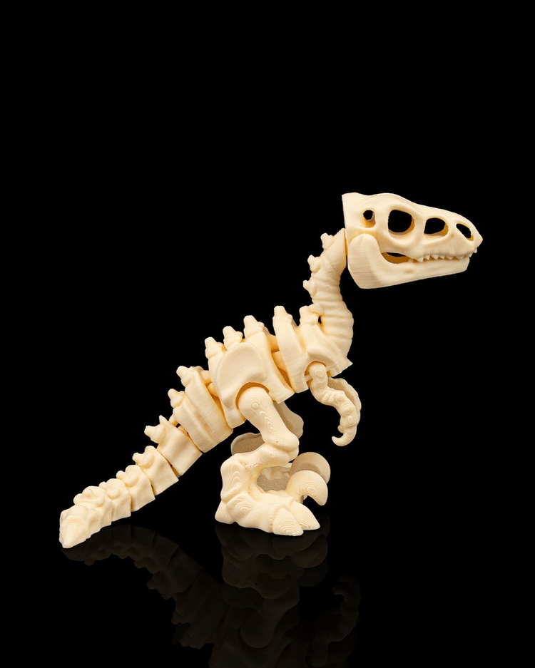 Velociraptor İskeleti
