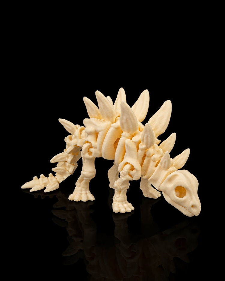 Stegosaurus İskeleti