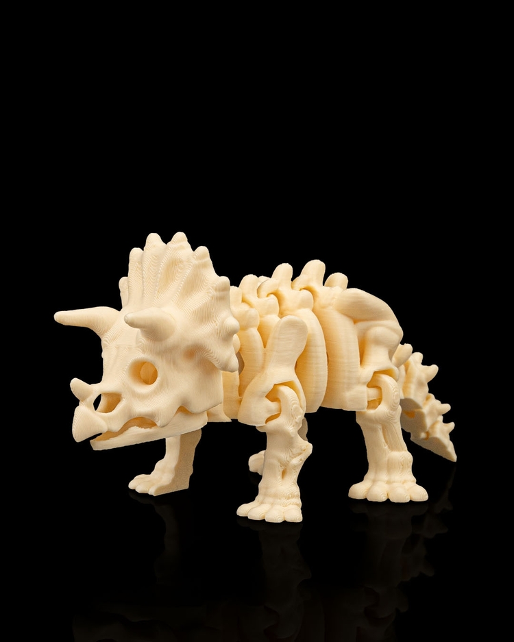 Triceratops İskeleti