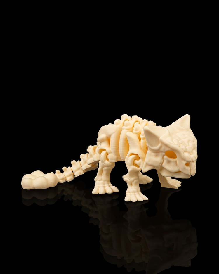 Ankylosaurus İskeleti