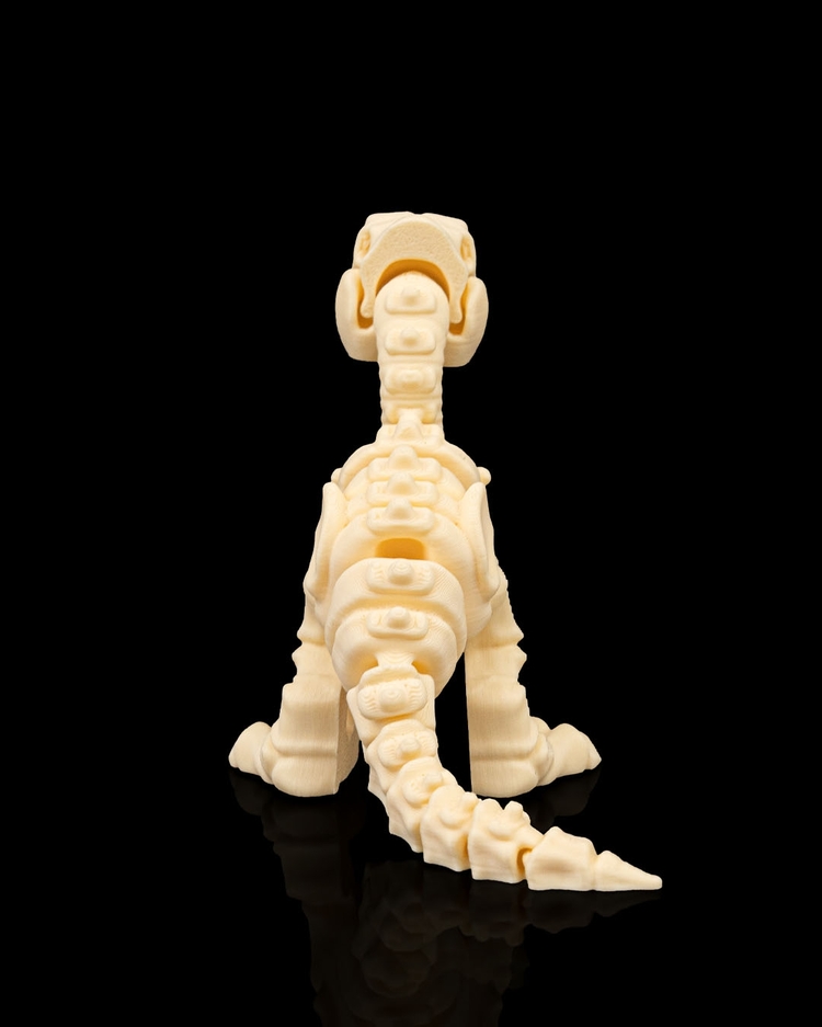 Velociraptor İskeleti