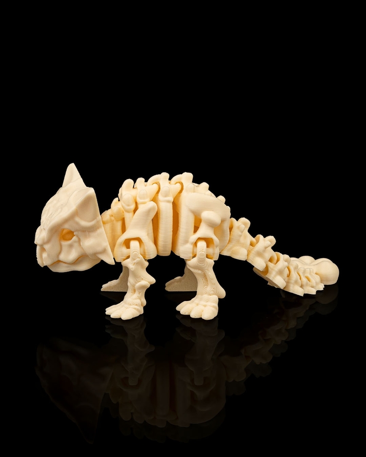 Ankylosaurus İskeleti