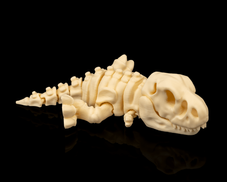 T-Rex İskeleti