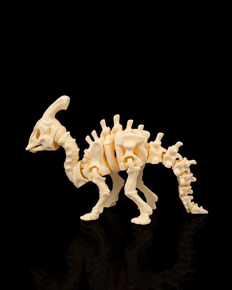 Parasaurolophus İskeleti