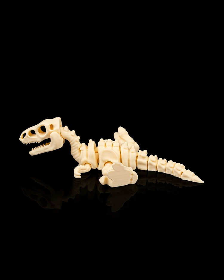 Velociraptor İskeleti