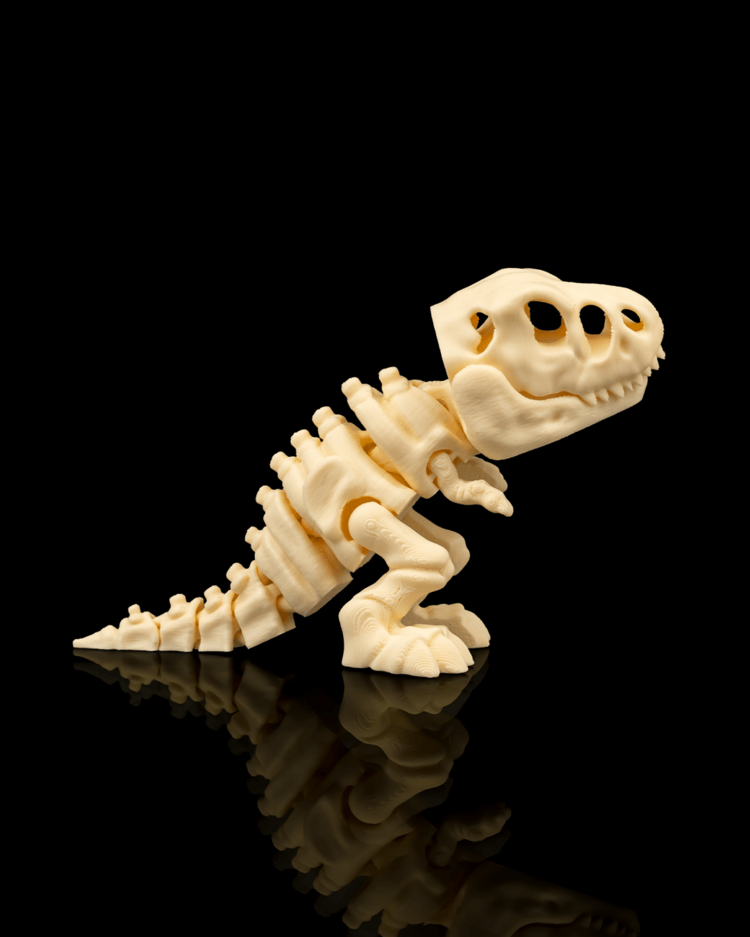 T-Rex İskeleti