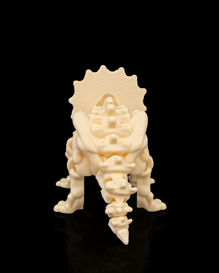 Triceratops İskeleti