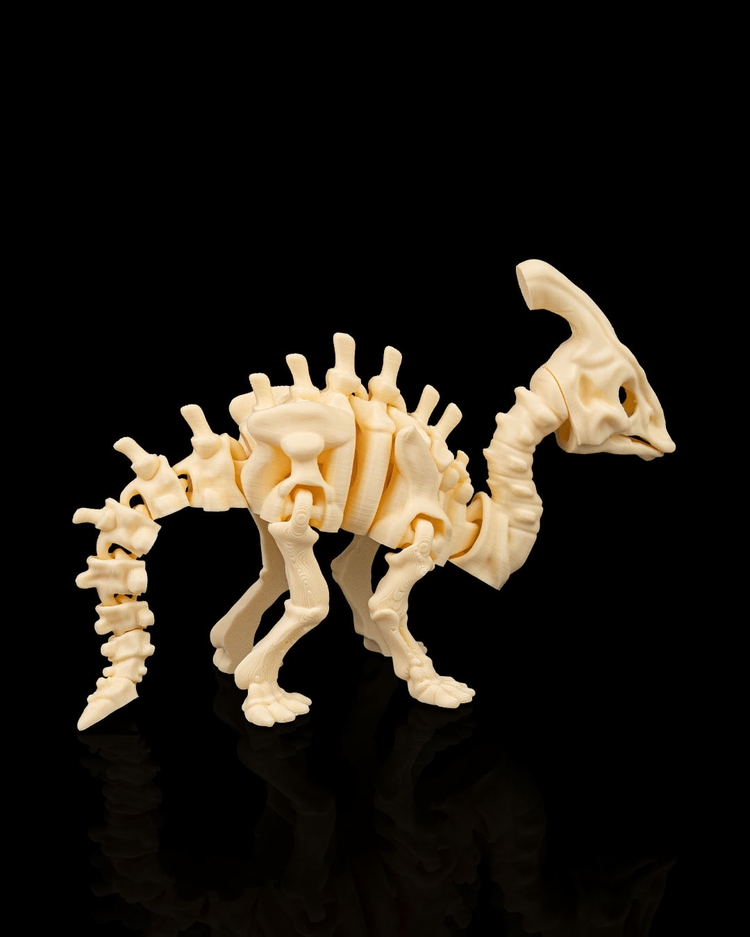 Parasaurolophus İskeleti