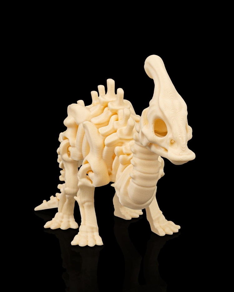 Parasaurolophus İskeleti