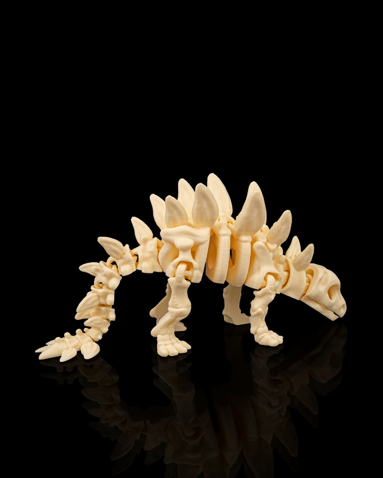 Stegosaurus İskeleti