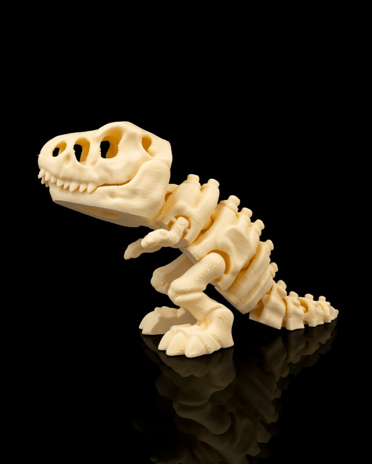 T-Rex İskeleti