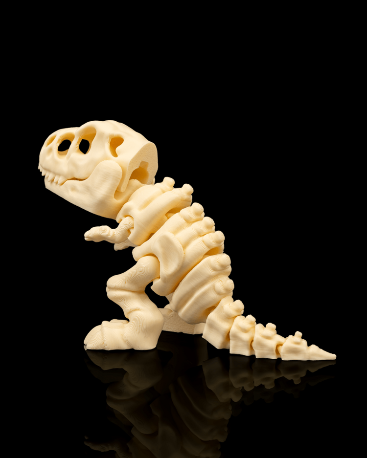 T-Rex İskeleti
