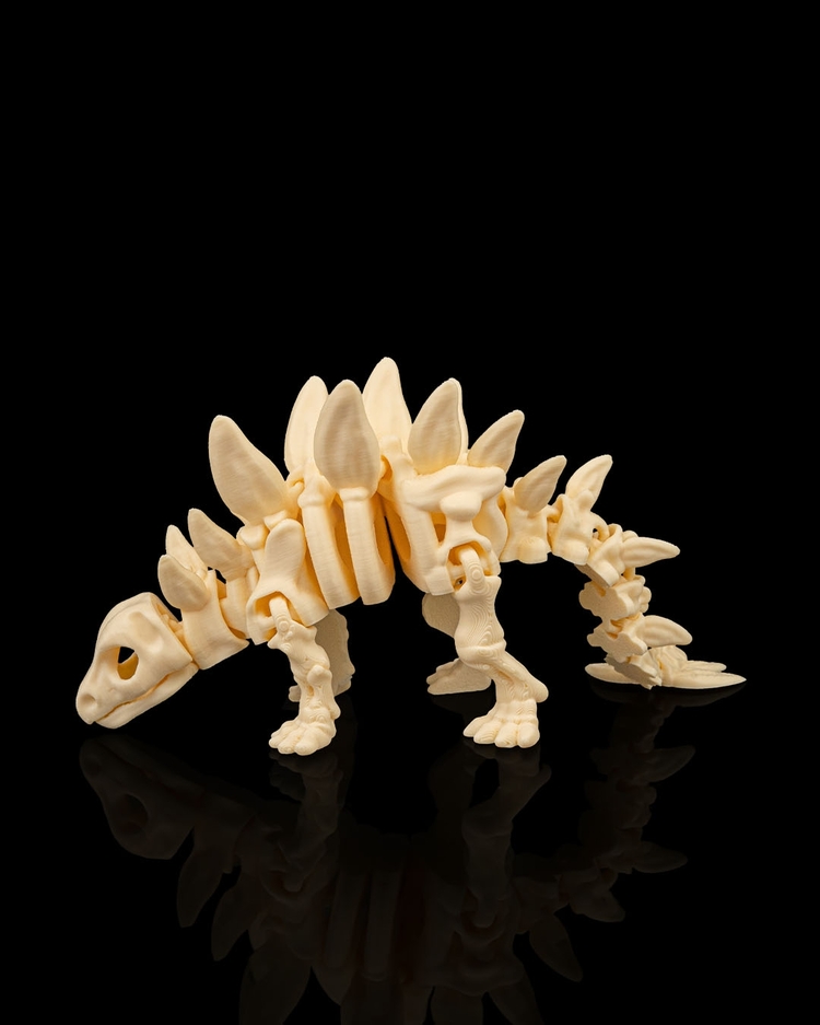 Stegosaurus İskeleti