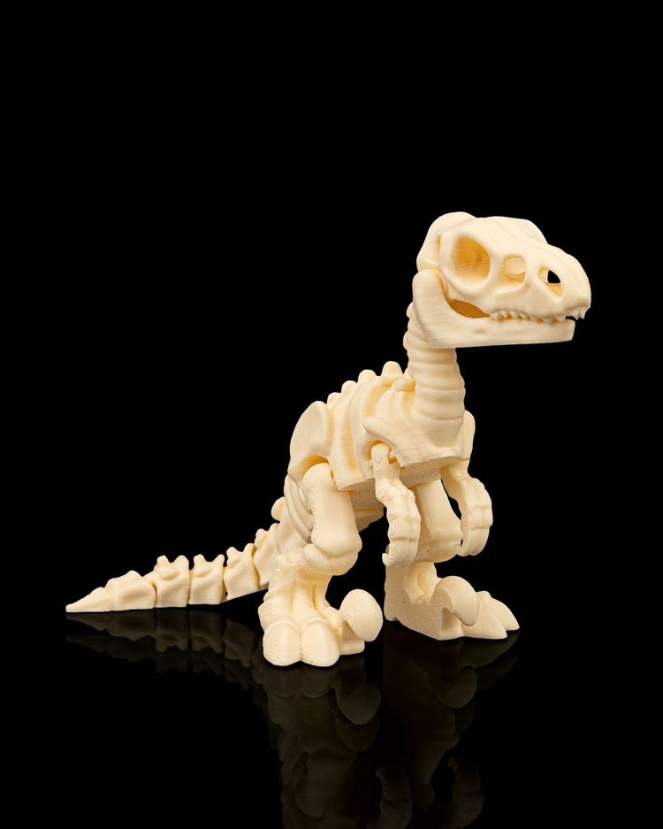 Velociraptor İskeleti