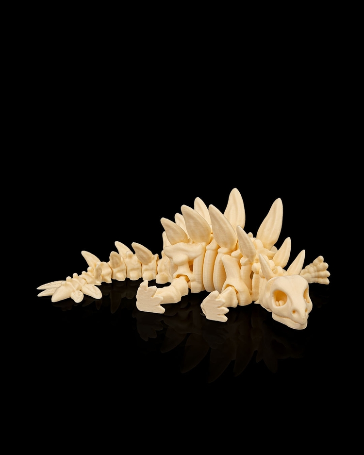 Stegosaurus İskeleti