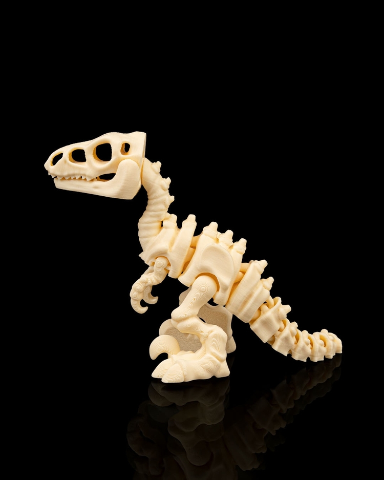 Velociraptor İskeleti