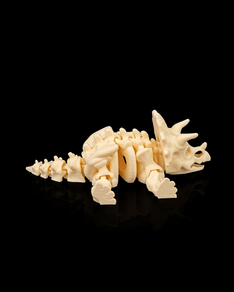 Triceratops İskeleti