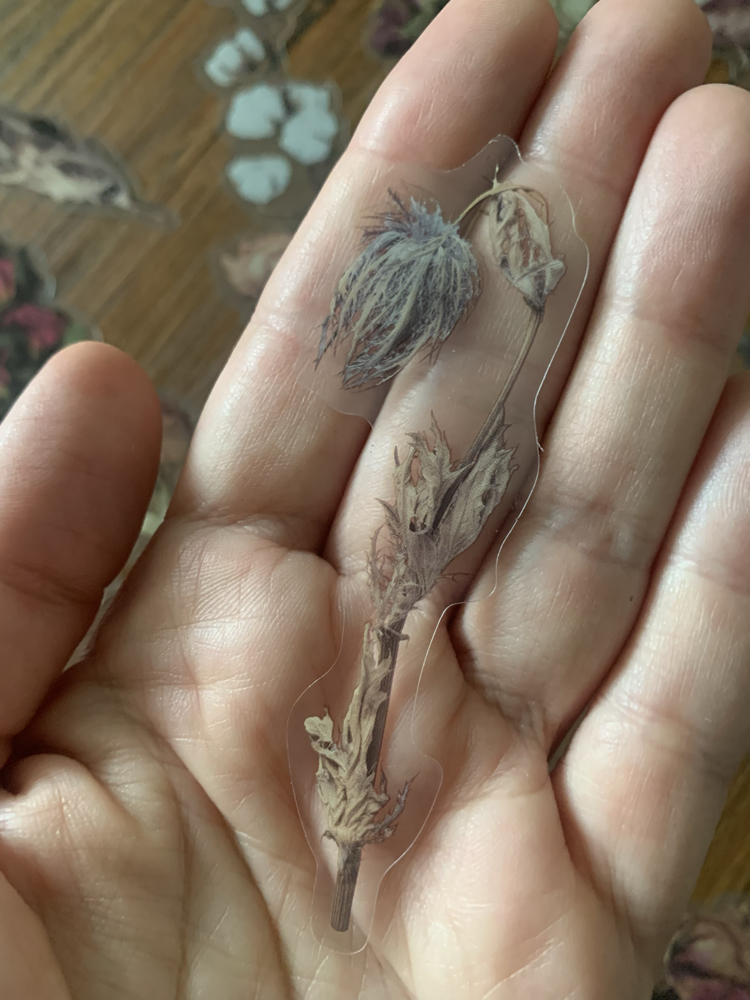 Dried Flowers Pet Stickers