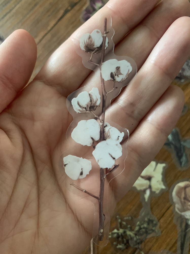 Dried Flowers Pet Stickers
