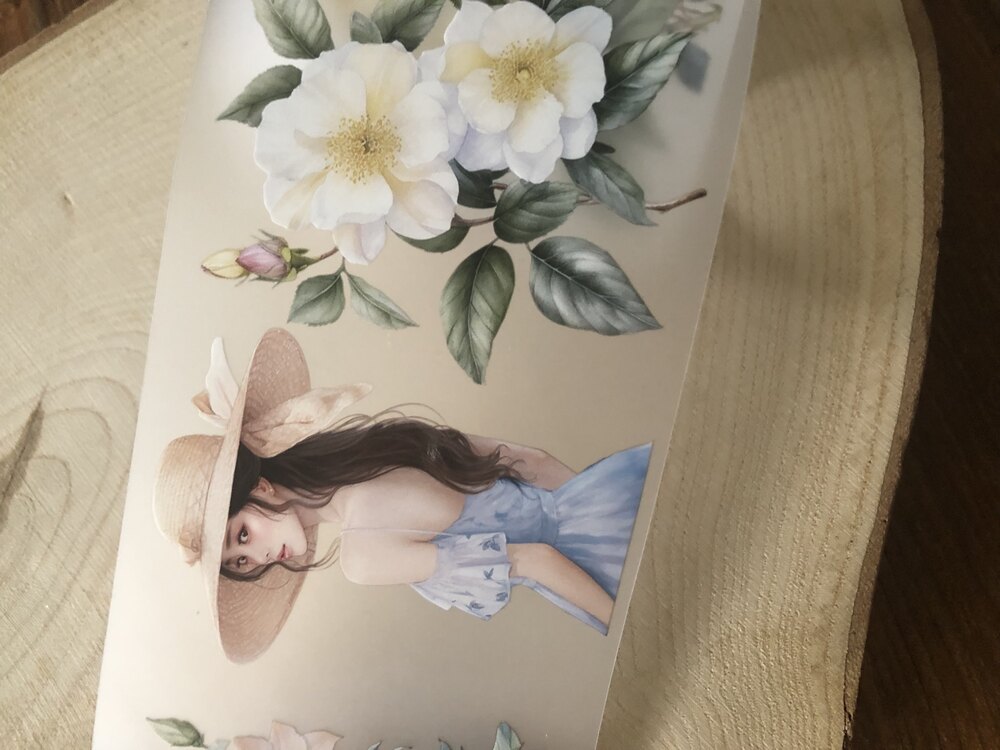 Spring Dream Pet Bant/1 Metre | Bullet Journal Malzemeleri