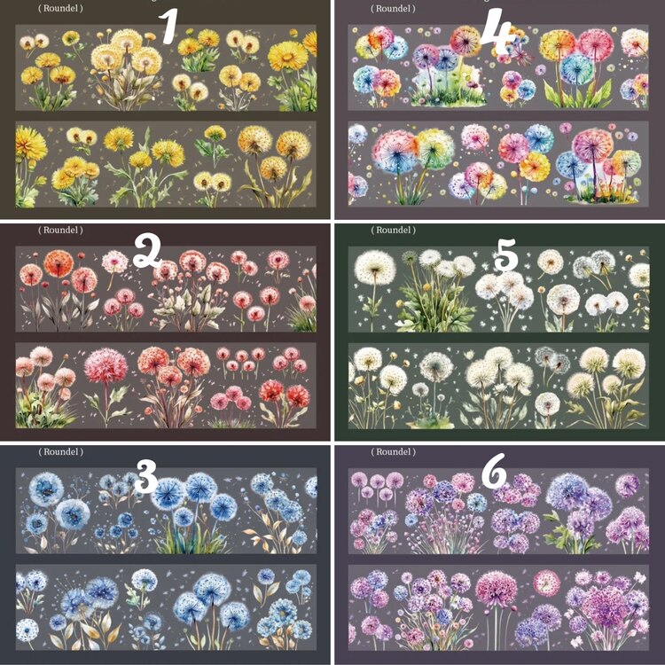 Colourful Dandelion Holografik Pet Bantlar/1 döngü