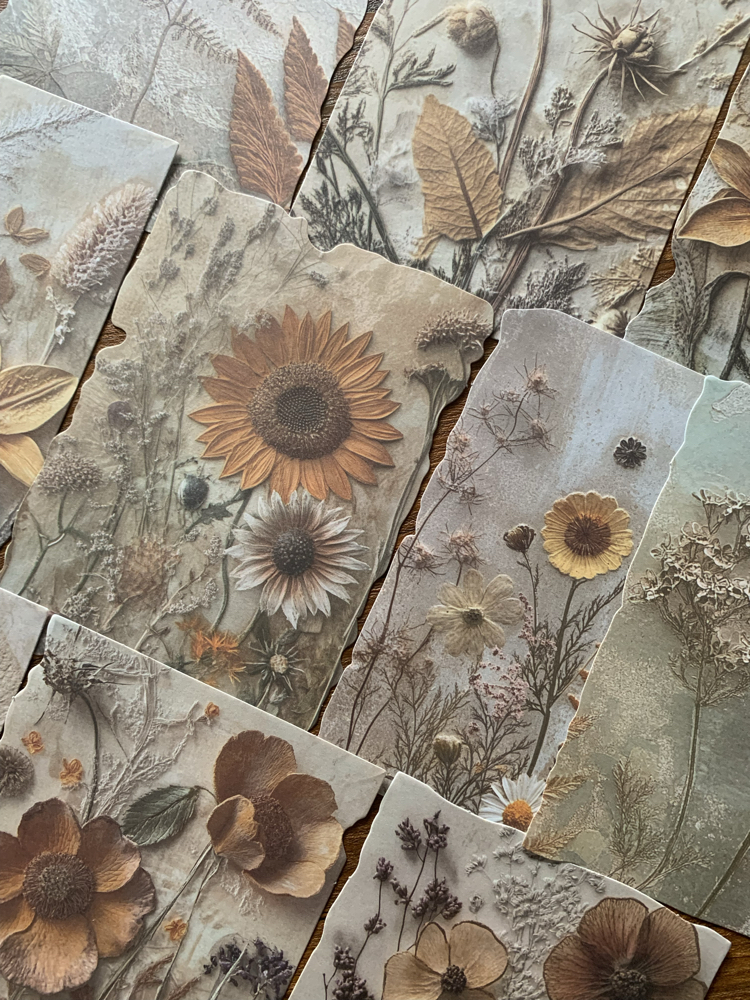 Soft Dream Kağıt Seti | Bullet Journal Malzemeleri
