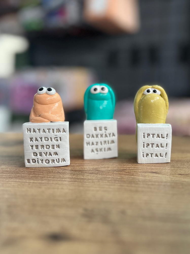 Eğlenceli Kafalar Serisi (1 adet)