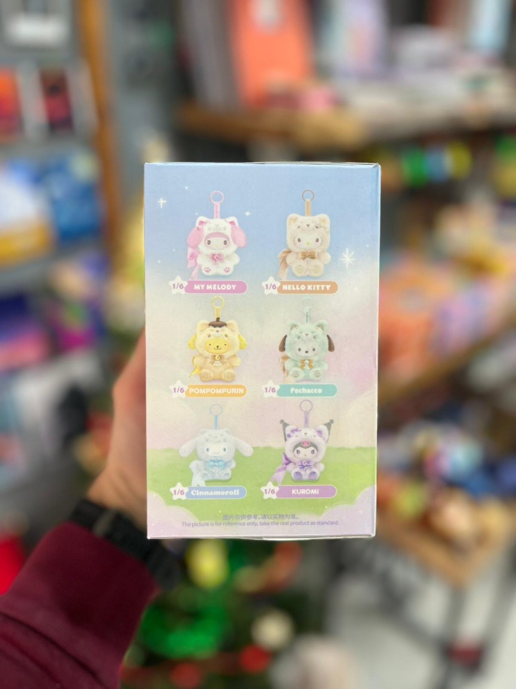 Sanrio Sürpriz Kutu