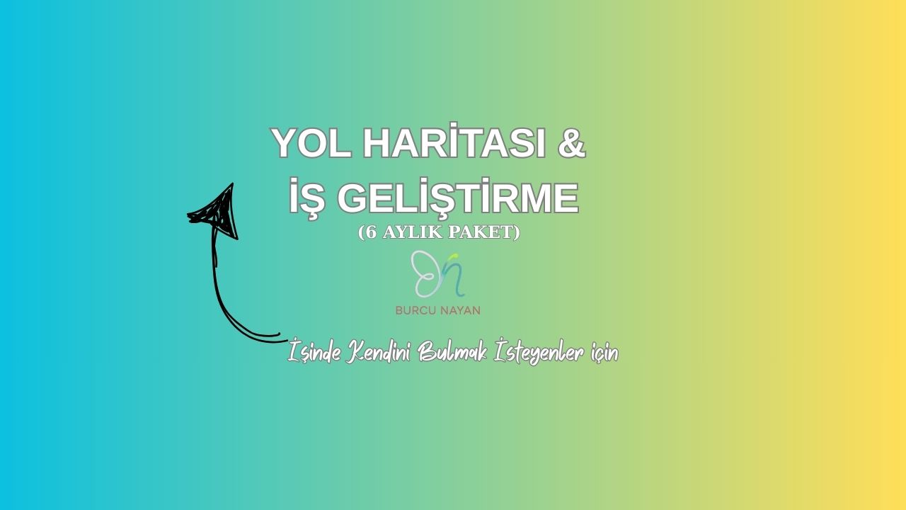 Yol Haritası & İş Geliştirme Paketi – 6 Ay
