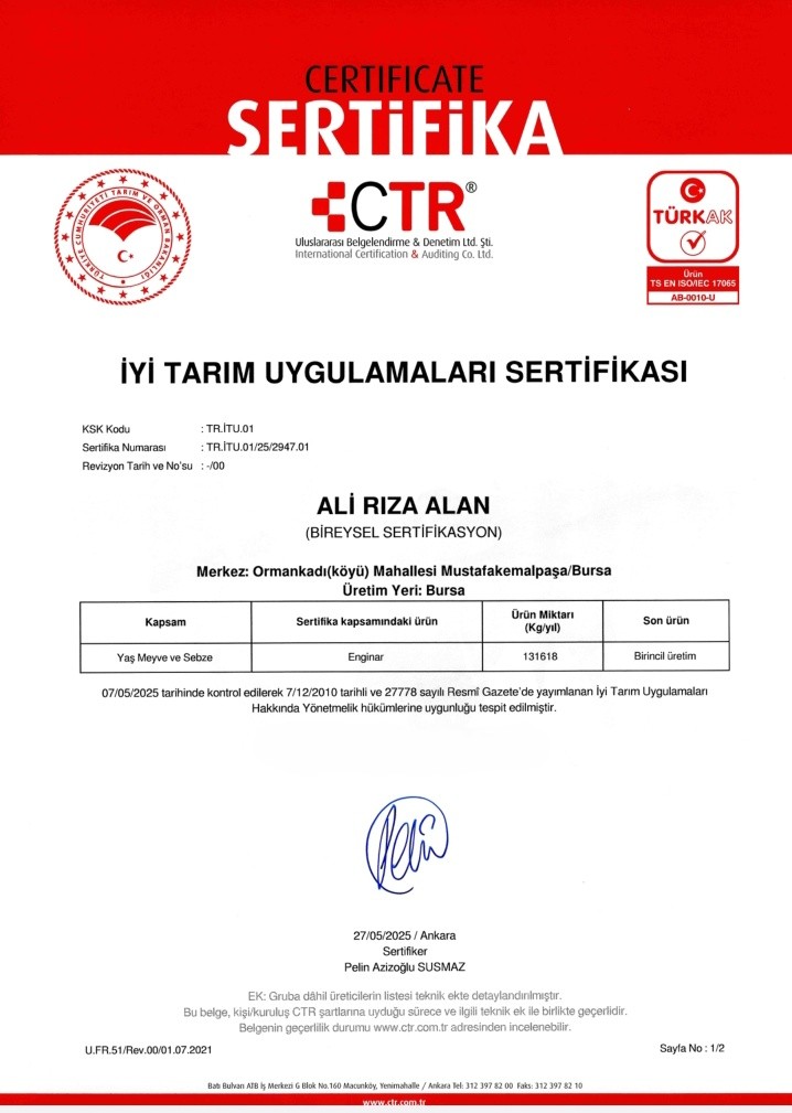 Lokum Çanak Enginar 30 Tane İri Boy