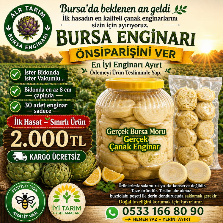 Lokum Çanak Enginar 30 Tane İri Boy