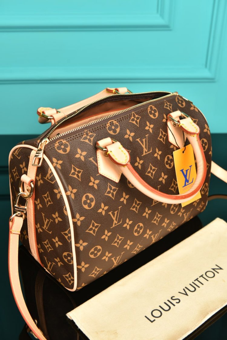 Louis vuitton ( 25 cm Speedy )❤️